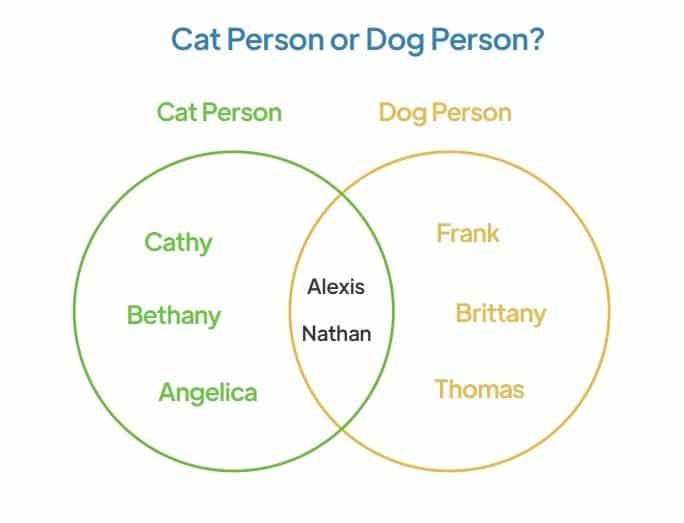 ven diagram mapping cat person vs dog person on team