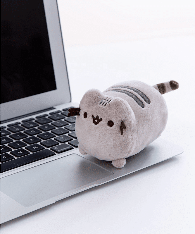 pusheen screen cleaner